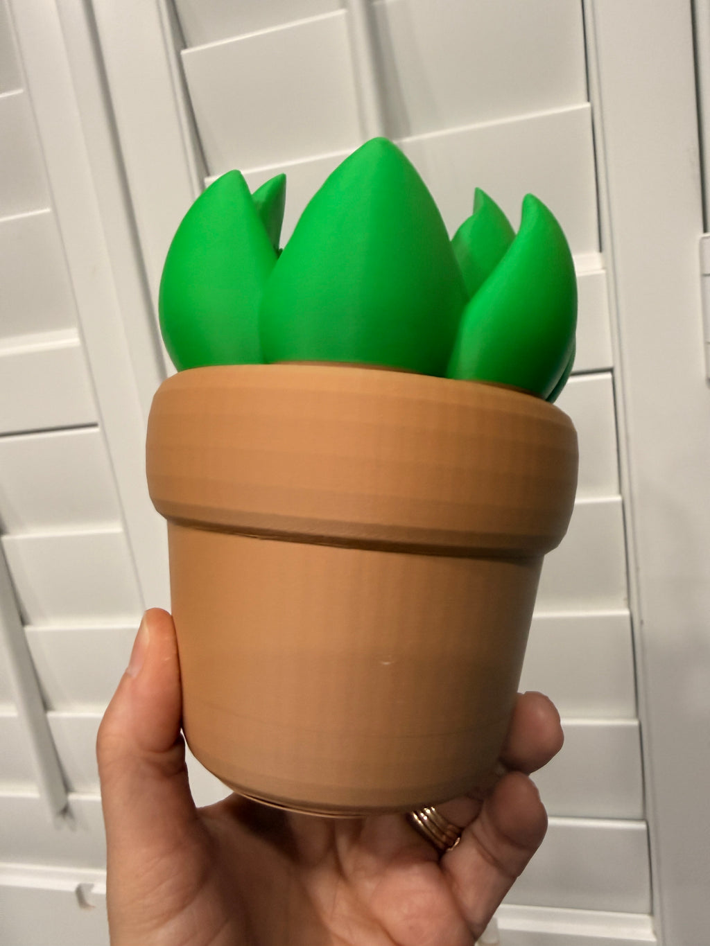 Plant BBW soap holder